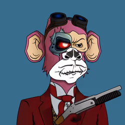 Monkey #3797