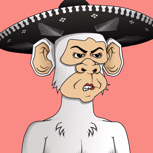 Monkey #3546
