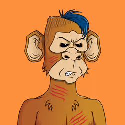 Monkey #1773