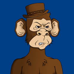 Monkey #3023