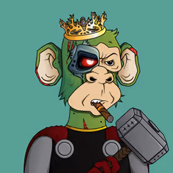 Monkey #904