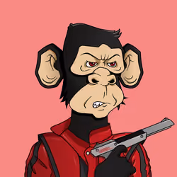 Monkey #5204