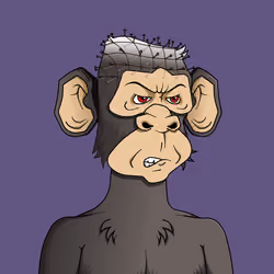 Monkey #631