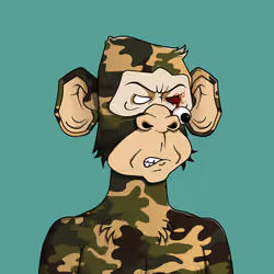 Monkey #9291