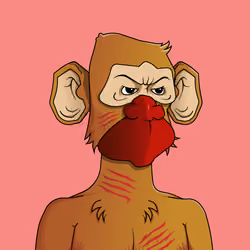 Monkey #1722