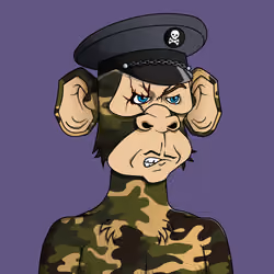 Monkey #4260