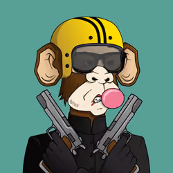 Monkey #285
