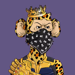 Monkey #2844
