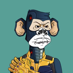 Monkey #6624