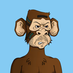 Monkey #8054