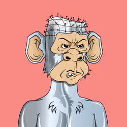Monkey #4637