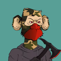 Monkey #5608