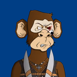 Monkey #6355