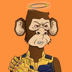 Monkey #7675