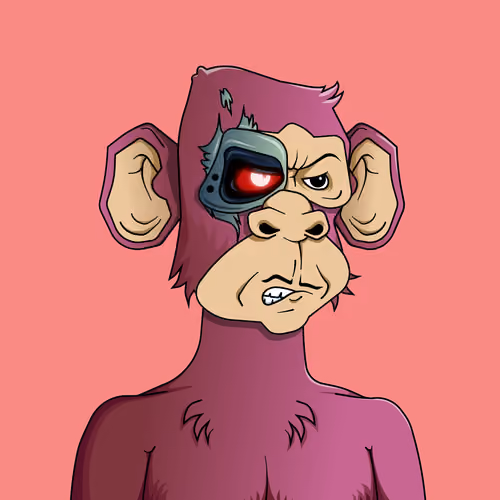 Monkey #4541