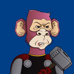 Monkey #3597