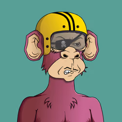 Monkey #6365