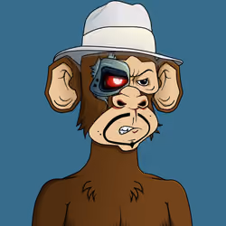 Monkey #9112