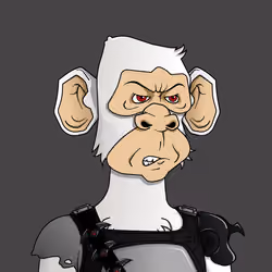 Monkey #2078