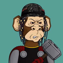 Monkey #5338