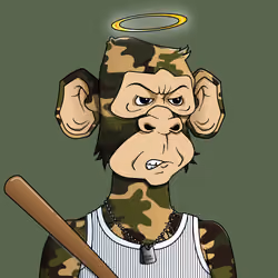 Monkey #2381
