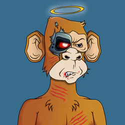 Monkey #4375