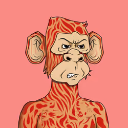 Monkey #1971