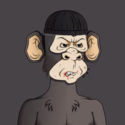 Monkey #5329