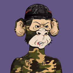 Monkey #9113