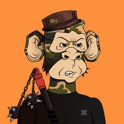 Monkey #8362