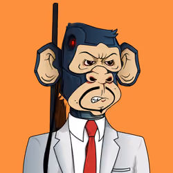 Monkey #104