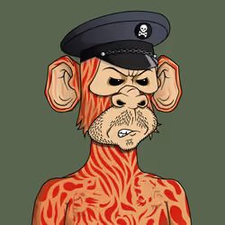 Monkey #8173