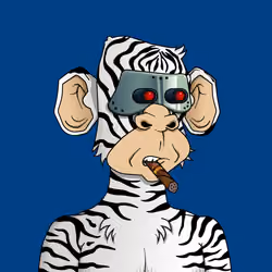 Monkey #3537