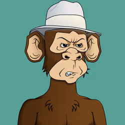 Monkey #9211