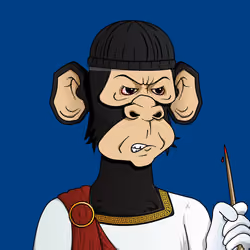 Monkey #9507