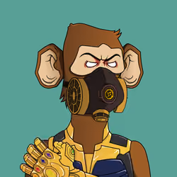 Monkey #3249