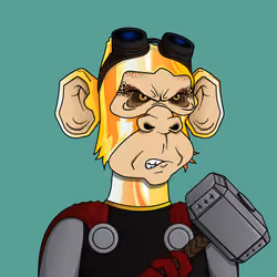 Monkey #1851