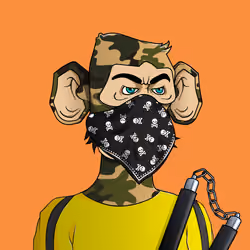 Monkey #1441