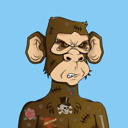 Monkey #5002