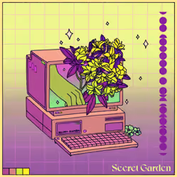 Secret Key #252