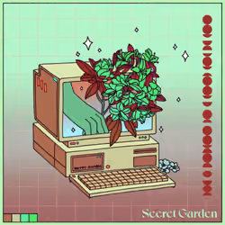 Secret Key #432