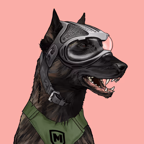 Wardogs Gunclub