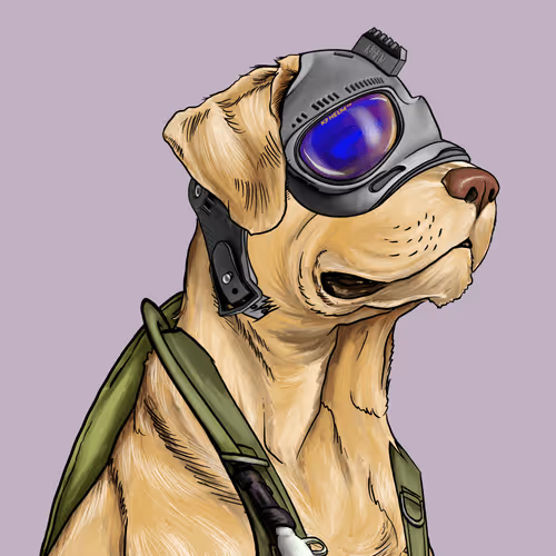 Wardogs Gunclub