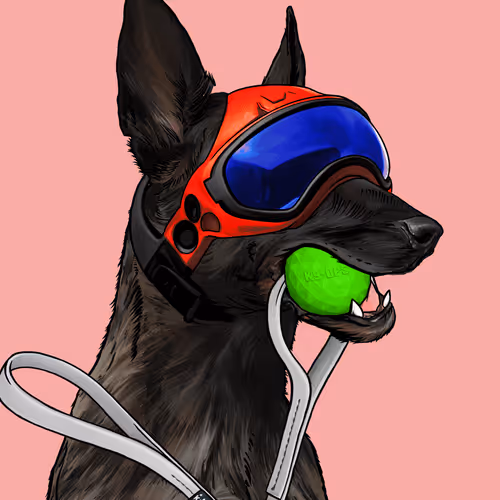 Wardogs Gunclub