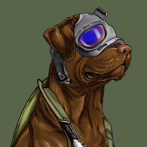 Wardogs Gunclub