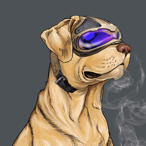 Wardogs Gunclub