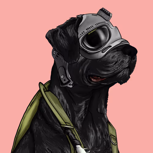 Wardogs Gunclub