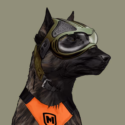 Wardogs Gunclub