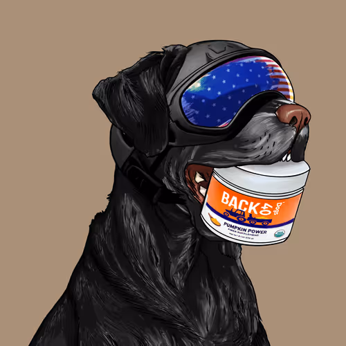 Wardogs Gunclub