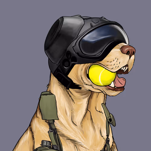 Wardogs Gunclub